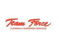 Team Force image 1